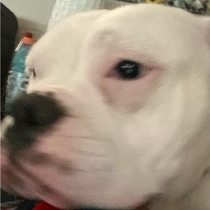 Meet your Posher, Laelynn